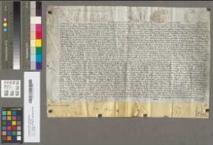 Päpstliche Provision für Herman Conrad Cardol mit der Aachener Pfründe, die vorher Franz Wilhelm Wildt hatte.