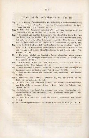 Uebersicht der Abbildungen auf Tafel III
