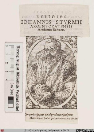 Bildnis Johannes Sturm