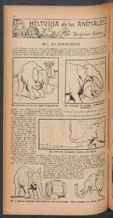 El elefante : Historia de los animales