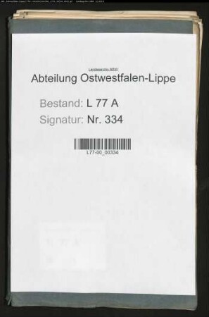 Revision der Geschäftsführung und des Kassenwesens beim Amt Schötmar