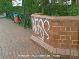 NaSS