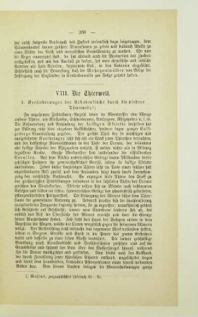 VIII. Die Thierwelt