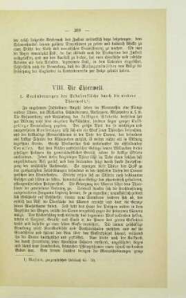 VIII. Die Thierwelt