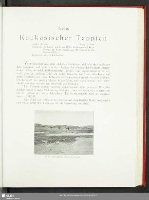 Tafel 15. Kaukasischer Teppich