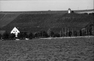 Meersburg: Weinberge am Bodensee (vom See aus)