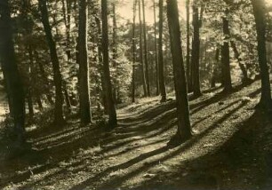 Reichswald, Hohenecker Str