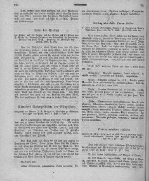 Schrebers Naturgeschichte der Säugthiere / fortgesetzt von Doctor J[ohann] A[ndreas] Wagner, Professor zu München. - Erlangen : Palm. - Heft 72-73, 1834