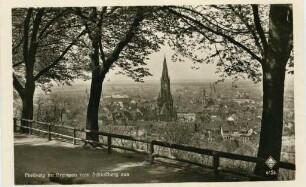 Blick auf Freiburg