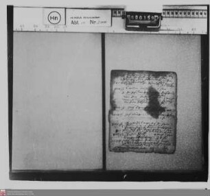 Specht von Bubenheim ./. Nassau-Diez und Nassau-Saarbrücken: Reichsunmittelbarkeit des Besitzes der Specht von Bubenheim (Reichshofratsprozess)