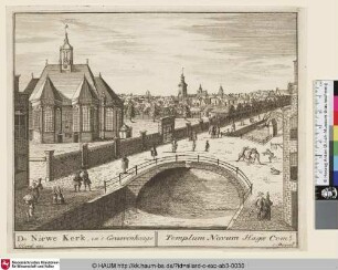 De Niewe Kerk, in 's Graavenhaage; Templum Novum Hagae Com.s