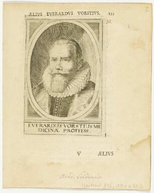 Bildnis des Everardus Vorstius