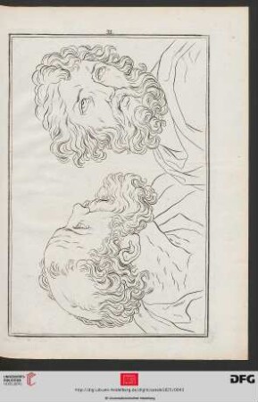 Taf. 31 [Kopfstudien nach Domenichino (Kontur)]