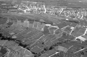 Ihringen: Weinberge und Ortsansichten, vom Berg in Ihringen
