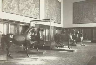 Raumaufnahmen Stallgebäude und Zwinger : Dresden, Johanneum, Obergeschoss, Historisches Museum, Saal 6, nach vollzogener Bergung