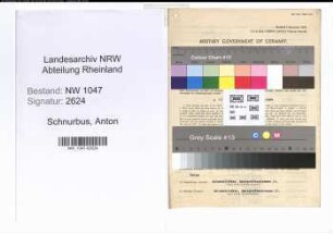Entnazifizierung Anton Schnurbus , geb. 04.10.1908 (Arzt)