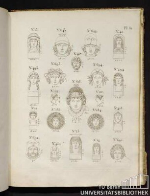 Pl. 81. No. 13, No. 643, No. 644, No. 40, No. 493, No. 693, No. 457, No. 618, No. 694, No. 494, No. 12, No. 112, No. 585, No. 584, No. 458, No. 23, No. 692, No. 451, No. 14, No. 695.