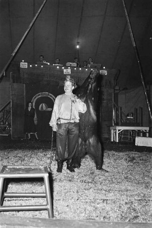 Zirkusdarbietung. Dompteur mit einem Braunbären (vielleicht im Circus Aeros)