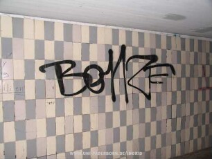BoNZE