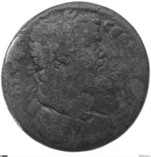 Smyrna