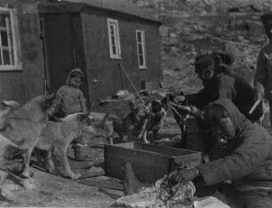 Drygalski, Erich von (Grönlandexpedition 1891-1893)