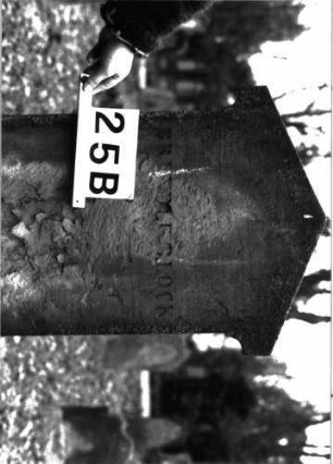 Grabstein A I/8/25B