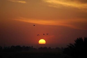 Luxor - Sonnenuntergang : Sonnenuntergang über dem Niltal bei Theben-West, aufgenommen 2006 bei Luxor