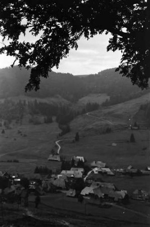 Menzenschwand: Blick auf Menzenschwand