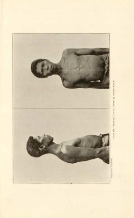 Plate XIX. Negrito man of Zambales (Mixed blood)