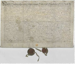Abteilung der vier Kinder erster Ehe des Hartwich von Dassel, besiegelt durch die Ratsmannen Christof Töbing und Johann Elver.