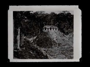 [The Temple of Inscriptions from the west side of the Palace Mound.] : [Archaeology, Vol. IV., Plate 50]