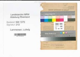 Entnazifizierung Ludwig Lammersen , geb. 02.09.1881 (Kaufmann)