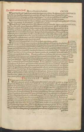 Articulus XXXI.