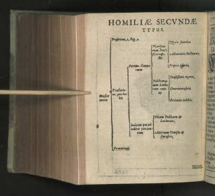 Homiliae Secvndae Typus [Tabula]