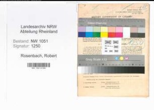 Entnazifizierung Robert Rosenbach , geb. 01.01.1889 (Amtmann)