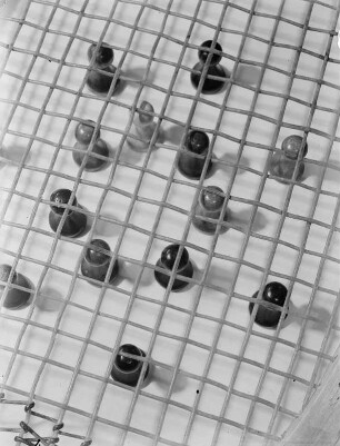 Spielfiguren unter Gitter