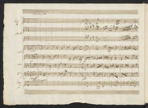 [2.] Andantino grazioso