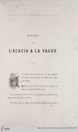 Marine L'Acacia & La Vague