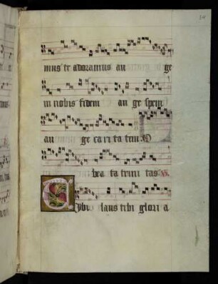 Zierinitiale: T(ibi laus)