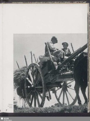 Karren auf dem Felde