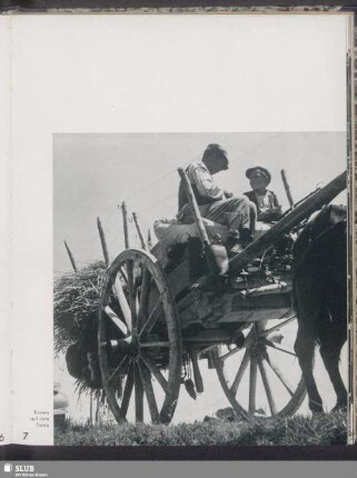 Karren auf dem Felde