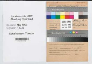 Entnazifizierung Theodor Schafhausen, geb. 22.03.1895 (Postschaffner)