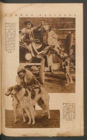 Perros valiosos
