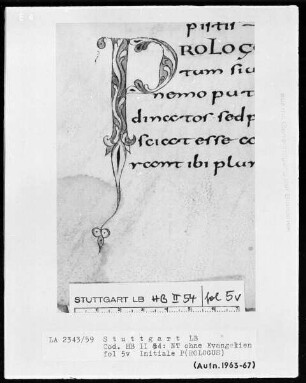 Bibliorum pars finalis, Pauli epistolae, Actus apostolorum, Epistolae canonicae, Apocalypsis — Initiale P(ROLOGUS), Folio 5verso