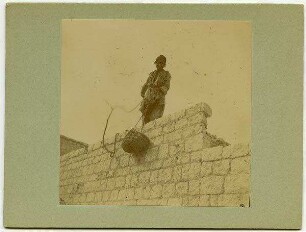 Maurer Aleppo