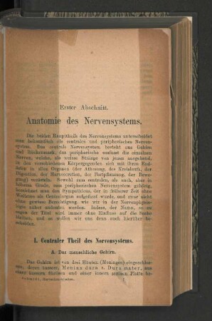 Erster Abschnitt. Anatomie des Nervensystems.