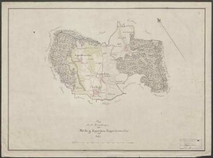 Plan über die Gemarkungen von Mahlberg, Kippenheim, Kippenheimweiler und Sulz