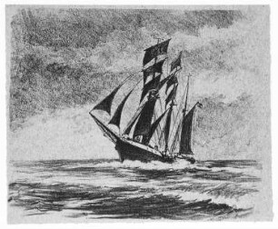Seestück mit Segelschiff : Bernkopf, Georg: Seestück mit Segelschiff. Zeichnung, unbezeichnet