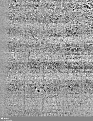 A / M = S.23/24