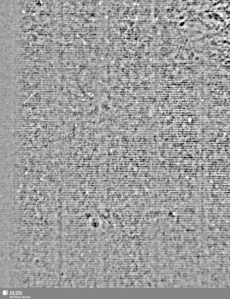 A / M = S.23/24